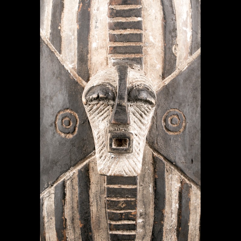 Bouclier africain SONGYE - art africain - Collection