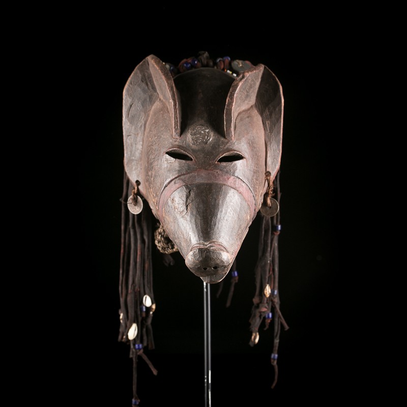 Chokwe Mwana Ngulu pig mask Angola - African Art Gallery