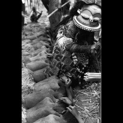 Dancer wearing an African Pende Kipoko mask