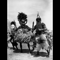 Guerriers Salampasu au Congo