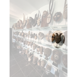 Collection de masques africains Renard