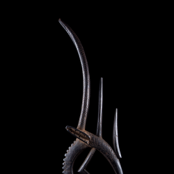 Ci wara from Mali