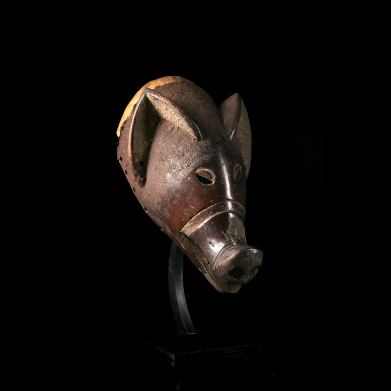 Masque africain Chokwe Ngulu en bois représentant un cochon de brousse, vue trois quarts